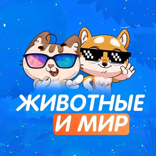 Мир и Животные