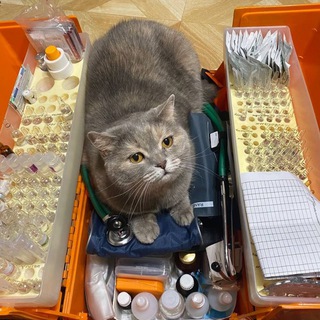 Ecg electrocardiography / ЭКГ электрокардиография