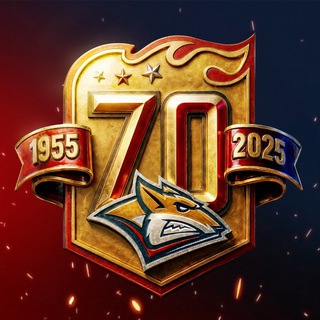 ХК «Металлург»