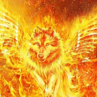 Волкодав73 ✈️