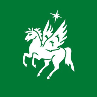 Пегасий БелГУ