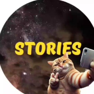 ГОТОВЫЕ СТОРИС