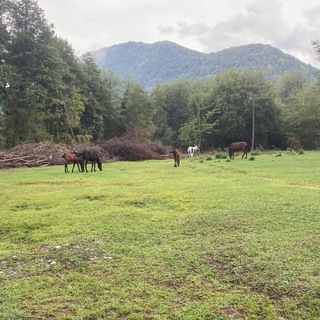 Фото для пранка | Цитаты