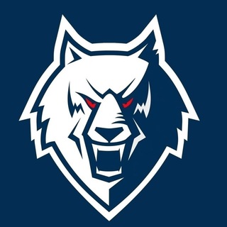 Волчья стая. Канал ХК "Нефтехимик"