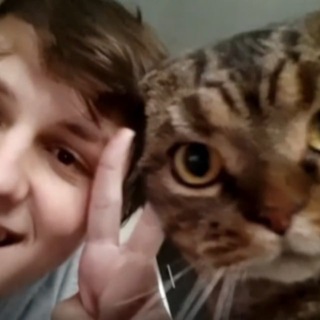 Колючая хатка / Както