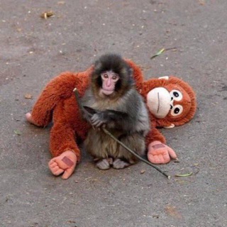 playasin aka yung cry squidward