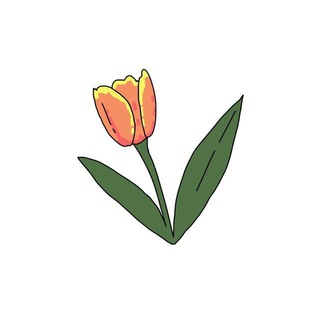 Первый ближневосточный | Иран 🇮🇷