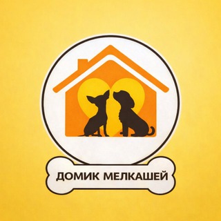 Домик Мелкашей - приют для маленьких собак