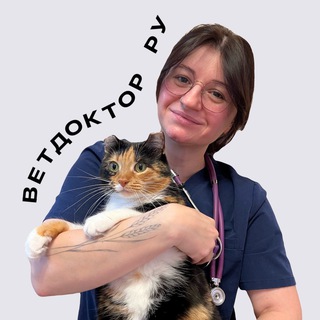 Что это может быть?