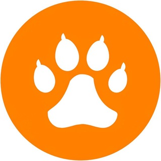 Приколы с животными