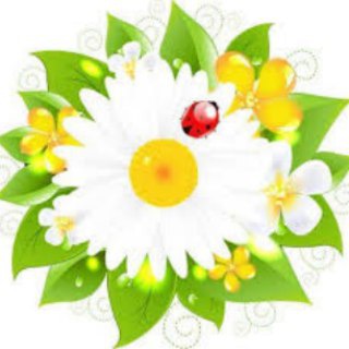 Советы народной медицины