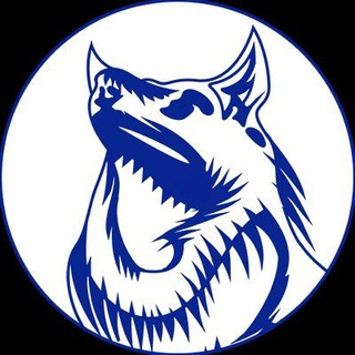 ВОЛКОВЫСК NEWS