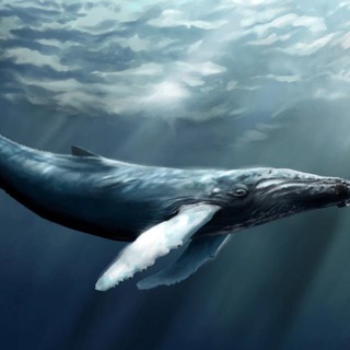 🐋 Russian Low Bank | ROAD TO $1