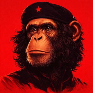 Деградат нация