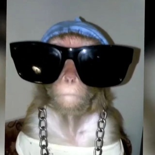 ЯША ЛАЗАРЕВСКИЙ - НИКОЛАИЧ 🐵🌴