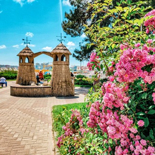 Всё о Геленджике