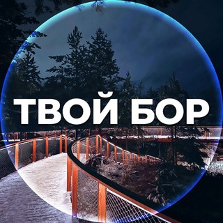 Твой Бор | tvoy-bor.ru