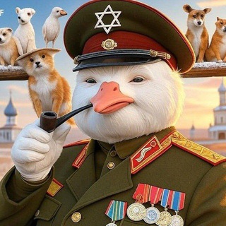 Дикие гуси летят в Израиль🇮🇱