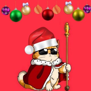 Котейкино царство