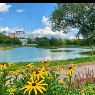 Группа района Свиблово