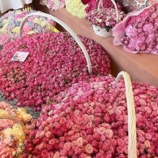 𝐰𝐢𝐭𝐡 𝐥𝐮𝐯🤍