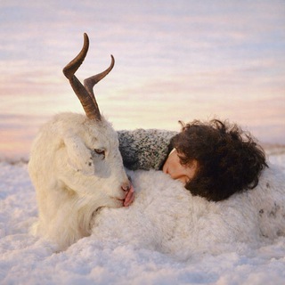 мои любимые картинки 💌