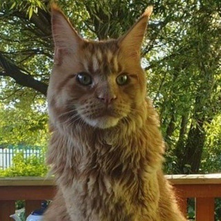 Дневник М.Б