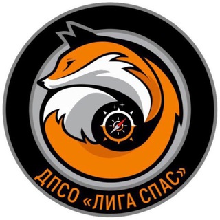 ДПСО «Лига Спас»