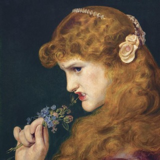 They call me the wild rose🌹