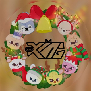 королевство stray kids ❄️