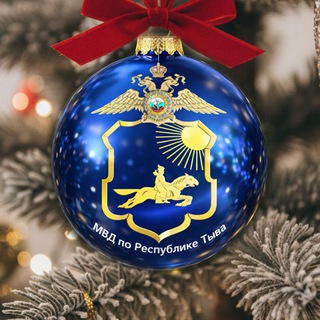 МВД по Республике Тыва