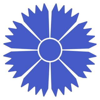 BELAVIA - Belarusian Airlines