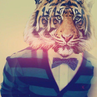 МистерПятёрка⁴²