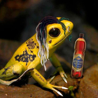 Шиманская орёт | «Мертвые земли Эдеса»