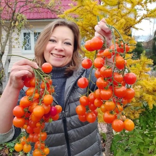 Светлана Самойлова