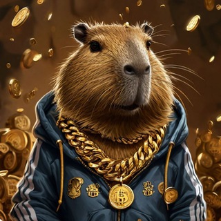 Раздачи от Капибары /WB/Ozon/Кэшбэк за отзыв. Реклама товаров