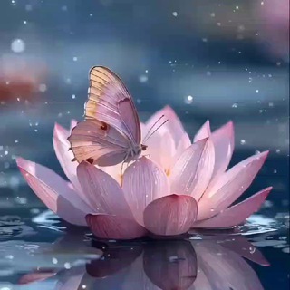 🪷Гармония Души | Саморазвитие