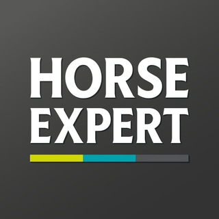 Horse Expert – журнал о лошадях
