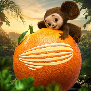 Централ Партнершип