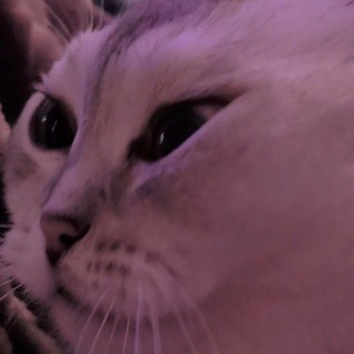 ТАК СЕБЕ ЯРИК