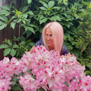 МОЙ АВТОРСКИЙ САД