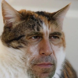 Философия Говна