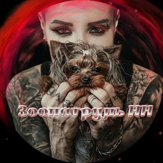 ЗООПАТРУЛЬ-НН (группа помощи бездомным животным)