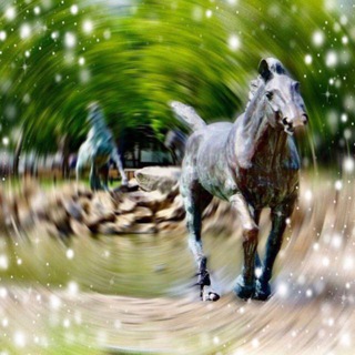 АКСАЙ В ДЕТАЛЯХ ⚡