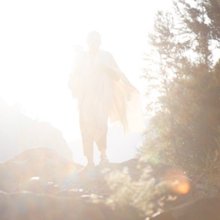 СВЕТ ВЫСШЕЙ МИЛОСТИ