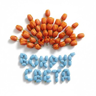 Парк «Вокруг света» | Омск