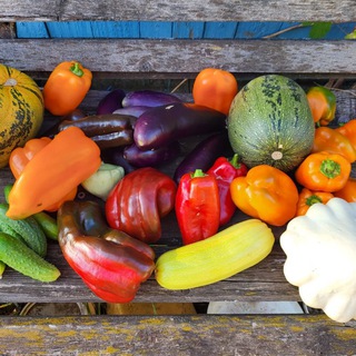 🌿5 соток🌿Ирина