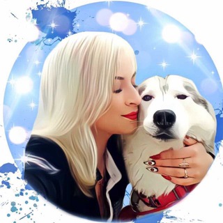 💙ШАРАМЫГА У ПЛИТЫ💙