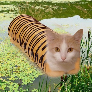 Я оцениваю буханки