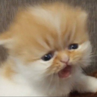 ГОРИТ И ПАХНЕТ